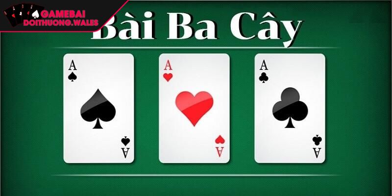 Khái quát thông tin về bài 3 cây miền Bắc
