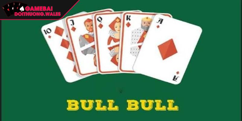 Khái quát thông tin sơ lược về bài Bull Bull

