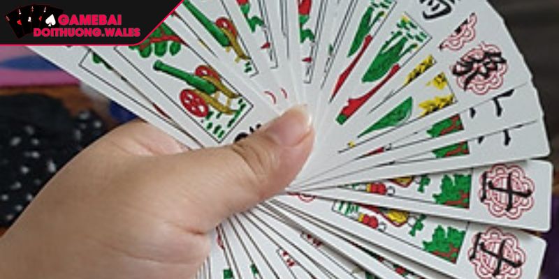 Giới thiệu đánh bài tam cúc là gì và luật chơi căn bản
