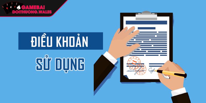 Điều kiện sử dụng tài khoản, hành vi cấm và giao dịch