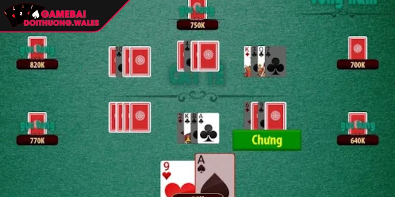 Tham gia ván bài Catte kịch tính