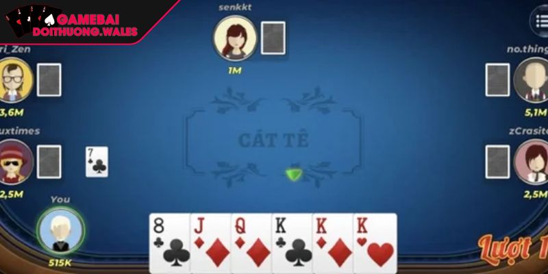 Thử sức cùng Catte hấp dẫn