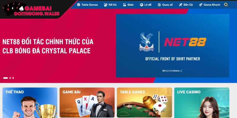 Giới thiệu tổng quan nhà cái game bài đổi thưởng NET88
